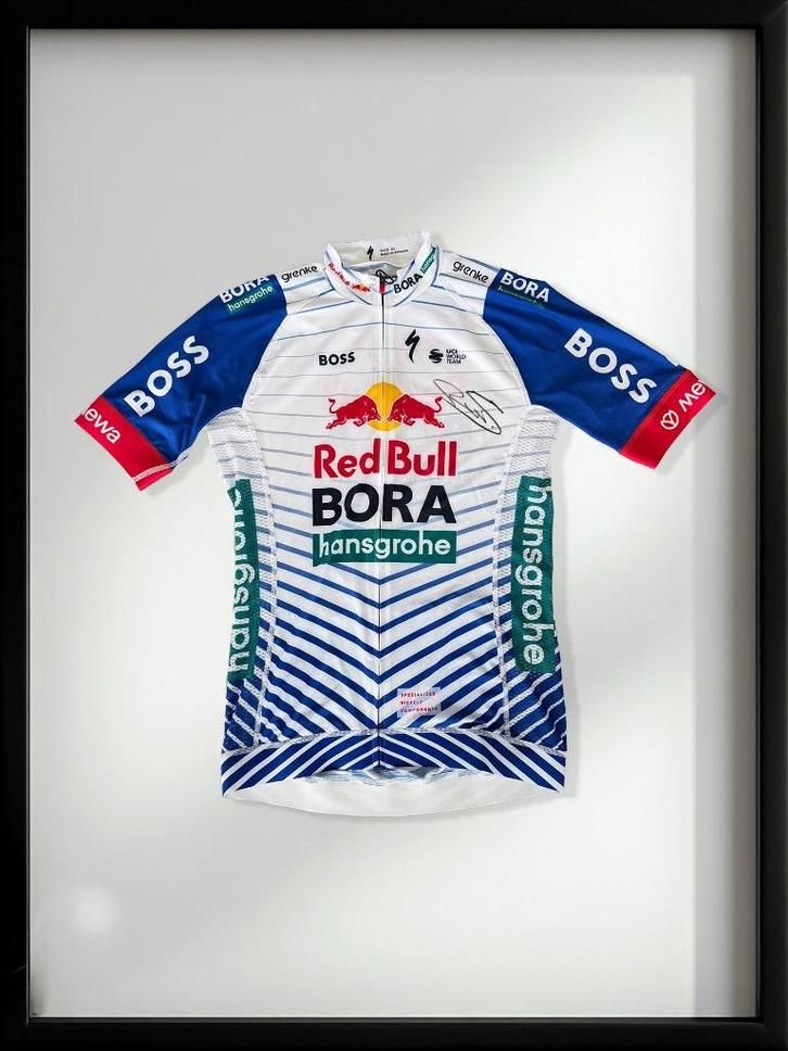 Gesigneerd RedBull Bora - hansgrohe truitje Remco Evenepoel, Verzamelen, Sportartikelen en Voetbal, Ophalen