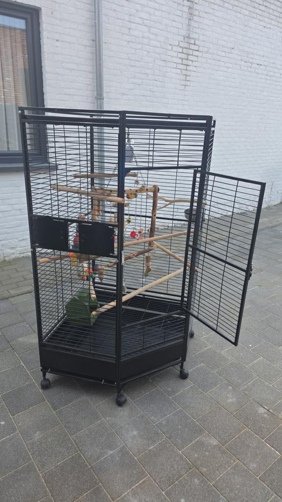 Grote papegaaienkooi, Dieren en Toebehoren, Vogels | Hokken en Kooien, Zo goed als nieuw, Vogelkooi, Metaal, Ophalen