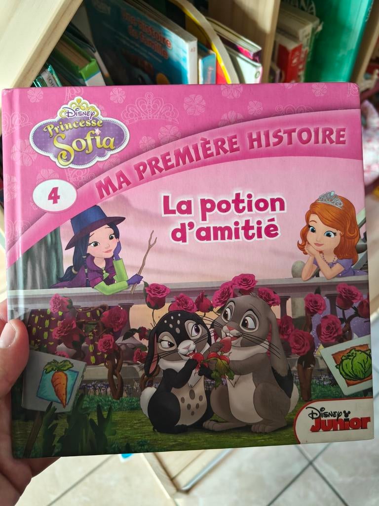 Livre Princesse Sofia La potion d'amitié, Ophalen of Verzenden