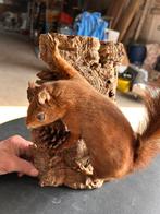 Eekhorentje, Ophalen, Zo goed als nieuw, Opgezet dier