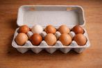 Broedeieren – ISA Brown / Sussex / Harco mix ( kruising), Dieren en Toebehoren, Pluimvee