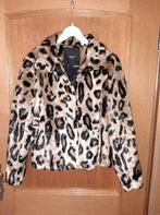 VESTE NEUVE VERO MODA, Vêtements | Femmes, Vero Moda, Enlèvement ou Envoi, Neuf, Autres couleurs