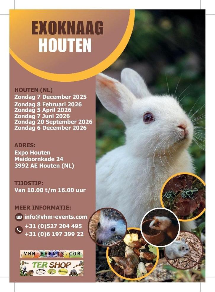 Exoknaag&Terraria Houten 05-04-2026 Benelux Plus grand, Animaux & Accessoires, Rongeurs, Avril