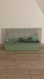Grote hamsterkooi - zo goed als nieuw, Animaux & Accessoires, Rongeurs, Hamster, Février, Domestique, Sexe inconnu