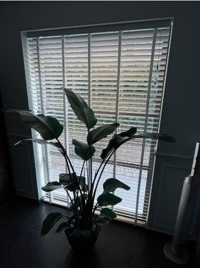 Jaloezie wit - Maatwerk - Breedte 1m43, Ophalen, Wit