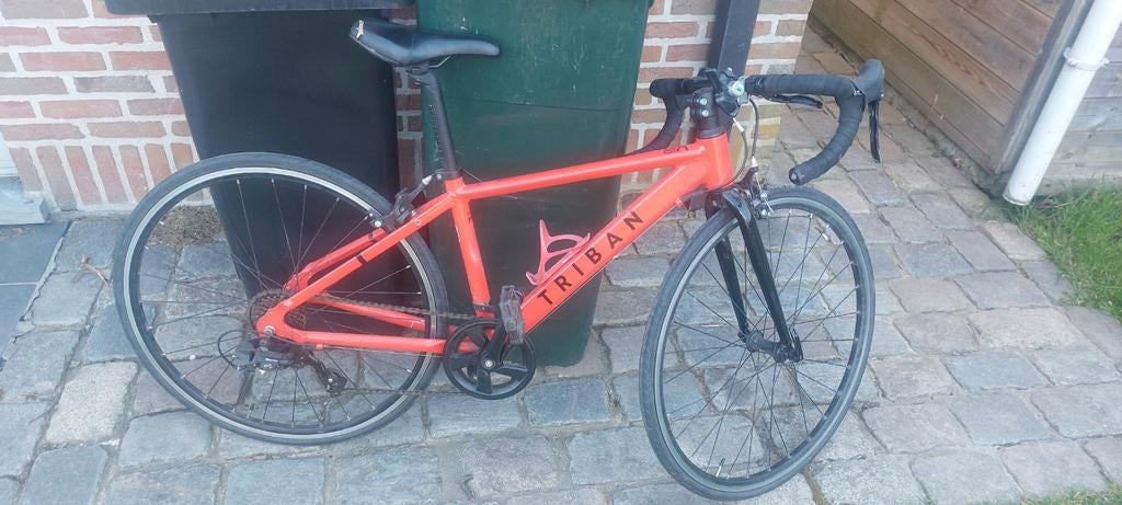 Kleine koesfiets, Enlèvement