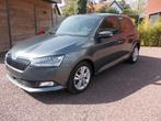 Skoda Fabia Fabia TSI 95 PK Style NAVI-LED-AD CRUISE-APP CON, Argent ou Gris, Achat, Euro 6, Entreprise