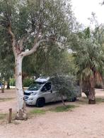 Fiat Burstner Brevio T645 speciaal hefbed en achterklep.., Caravans en Kamperen, Koelkast, Ringverwarming, Fiat, Treinzit