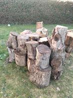 Brandhout blokken, Enlèvement ou Envoi, Bûches