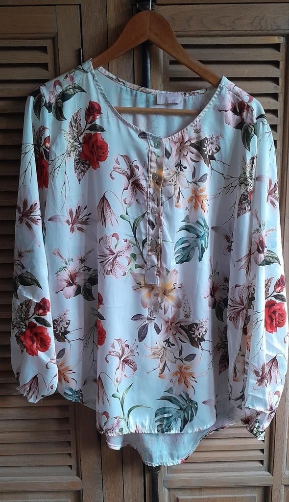 Prachtige blouse X.L Cassis, Kleding | Dames, Cassis, Ophalen of Verzenden, Zo goed als nieuw, Blouse of Tuniek