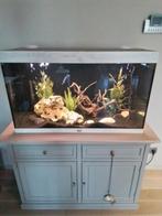 "gebruiksklare" aquarium, Dieren en Toebehoren, Vissen | Aquaria en Toebehoren, Ophalen, Gebruikt, Overige typen