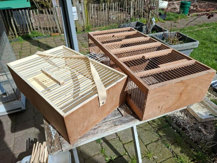 Allerhande vogelmateraal te koop ., Dieren en Toebehoren, Vogels | Duiven