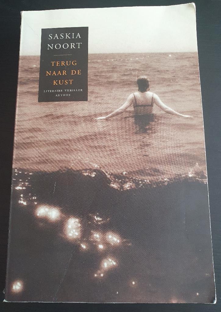 Thriller van Saskia Noort: Terug naar de kust, Livres, Thrillers, Utilisé, Enlèvement ou Envoi