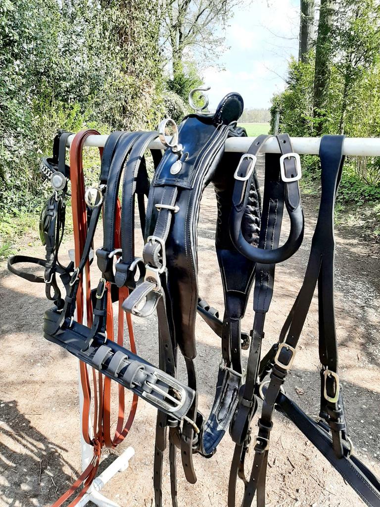 🔴HONGAARS CHIQUE FULL-COB LAKLEER KOETS TUIG 360 € 🔴, Dieren en Toebehoren, Ophalen of Verzenden