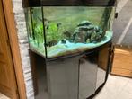 Aquarium de 450L avec meuble, tout complet, Enlèvement, Comme neuf