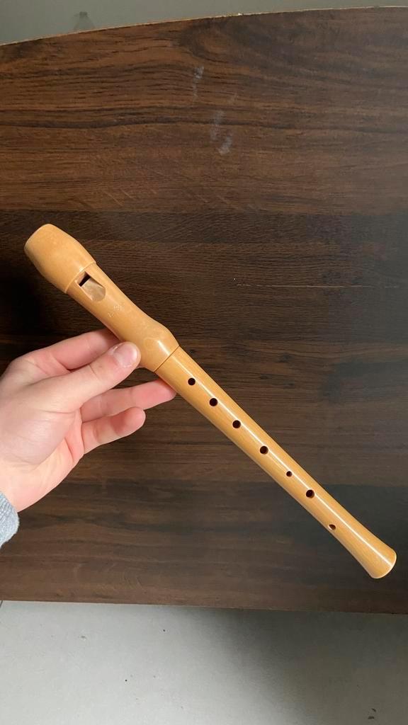 Flûte à bec soprano en bois - 34 cm - avec étui, Musique & Instruments, Instruments à vent | Flûtes à bec, Comme neuf, Soprano ou Sopranino