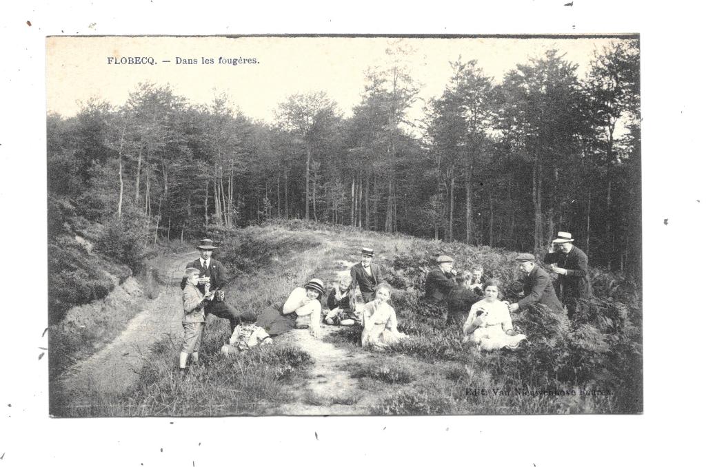 Flobecq NA35: Dans les fougères, Collections, Cartes postales | Belgique, Envoi, 1920 à 1940, Non affranchie, Hainaut