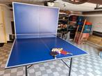 Table de ping-pong Chiodi intérieur, Sports & Fitness, Enlèvement, Utilisé, Table d'intérieur, Pliante