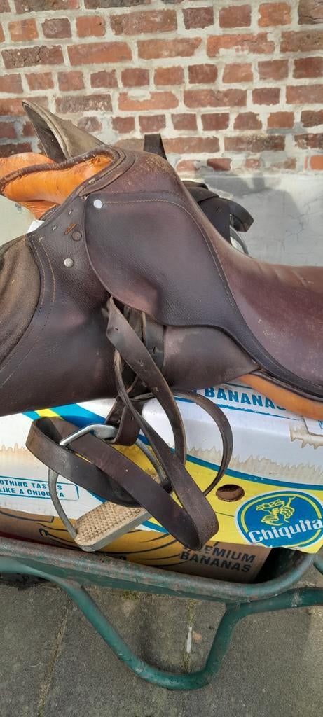 Paardezadel, Enlèvement