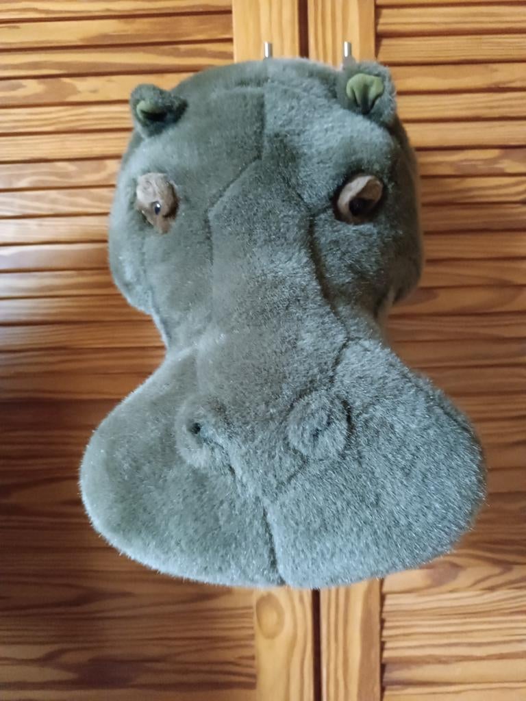 Tête d'hippopotame, Enlèvement ou Envoi