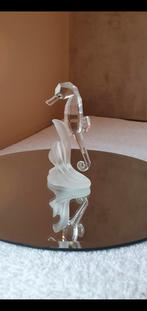 Zeepaardje, Enlèvement