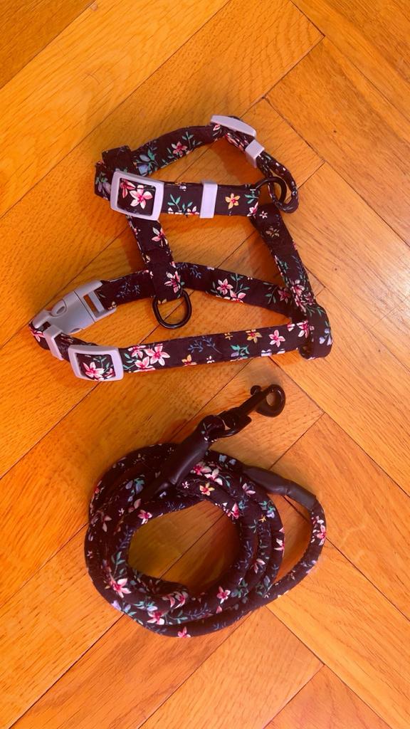 Harnais + laisse pour chat motif fleuri noir – comme neuf, Enlèvement ou Envoi, Comme neuf