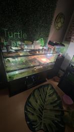 Aquarium schilpad 125-47-47, Dieren en Toebehoren, Ophalen, Zo goed als nieuw