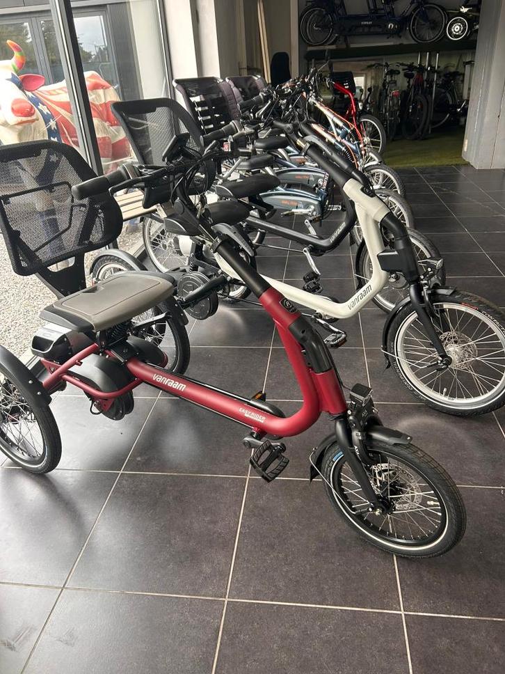 Easy riders Van Raam avec moteur, tous modèles et garantie, Vélos & Vélomoteurs, Vélos | Tricycles, Comme neuf, Enlèvement