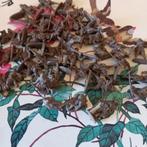 SOLDATS, QUI JOUE ENCORE AVEC ÇA ?, Enlèvement ou Envoi