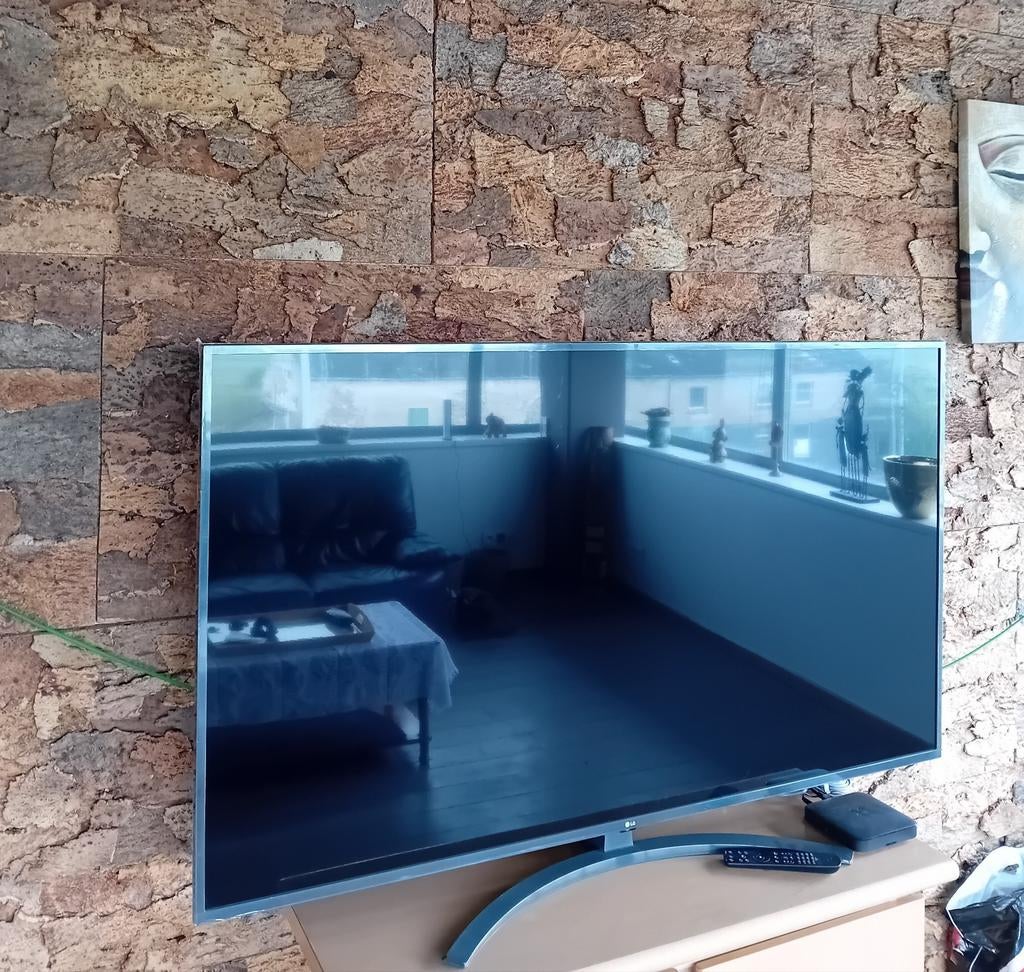 65-INCH LG 4K HRD TV, HEEL WEINIG GEBRUIKT, MISSCHIEN 30 UUR, Ophalen, Zo goed als nieuw, LG