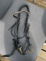 QHP hoofdstel, Dieren en Toebehoren, Ophalen of Verzenden, Gebruikt