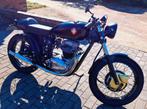 BSA A65T 1971 caféracer, 2 cylindres, 12 à 35 kW, Autre, 649 cm³