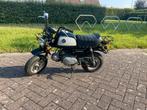 Honda Gorilla, Fietsen en Brommers, Ophalen