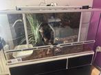 Terrarium terratlantis 118x45x60, Ophalen, Zo goed als nieuw, Terrarium of Paludarium