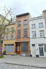 Immeuble à vendre à Bruxelles, 6 chambres, Vrijstaande woning, 220 m², 6 kamers