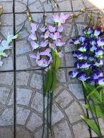 5 Zacht fluo Roze lange kunstbloemen, Huis en Inrichting, Woonaccessoires | Kunstplanten en Kunstbloemen, Ophalen of Verzenden