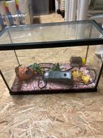 Visbokaal met deksel en filter, Ophalen, Zo goed als nieuw, Leeg aquarium
