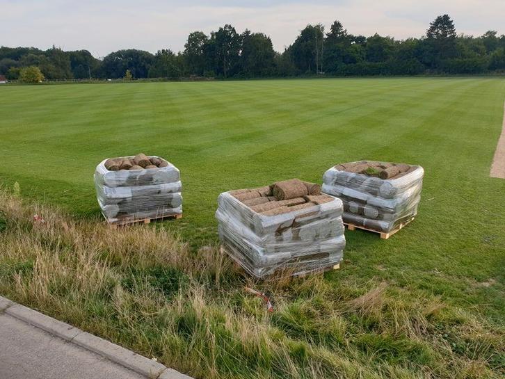 création de jardin/pelouse/gazon, Tuin en Terras, Gras en Kunstgras, Nieuw, Gras, 20 m² of meer, Ophalen