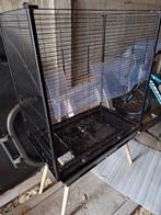 Vogelkooi, Dieren en Toebehoren, Vogels | Hokken en Kooien, Ophalen, Vogelkooi
