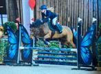 Grote spring D- pony te koop, Dieren en Toebehoren, Merrie, D pony (1.37m tot 1.48m), 7 tot 10 jaar