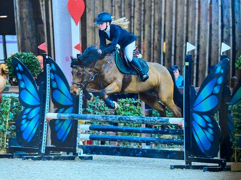 Grote spring D- pony te koop, Dieren en Toebehoren, Pony's, Merrie, D pony (1.37m tot 1.48m), 7 tot 10 jaar