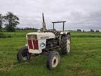1965 David Brown 880 Oldtimer tractor, Zakelijke goederen, Landbouw | Tractoren, Oldtimer, Overige merken