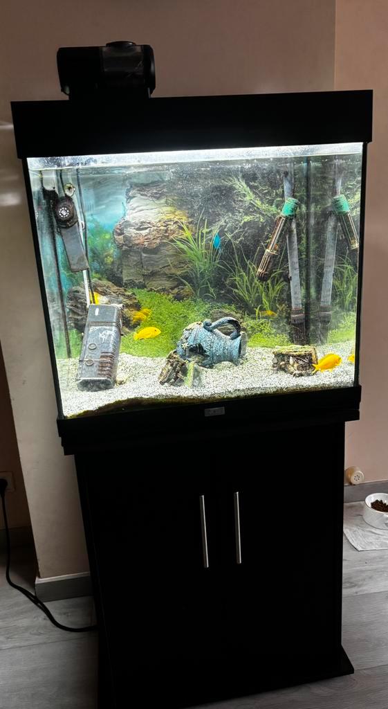 Aquarium merk Juwel te koop., Dieren en Toebehoren, Vissen | Aquaria en Toebehoren, Ophalen