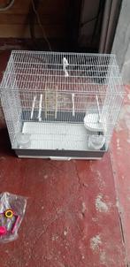 vogelkooi en accessoires zo goed als nieuw, zand en voeding, Dieren en Toebehoren, Ophalen, Zo goed als nieuw, Metaal, Vogelkooi