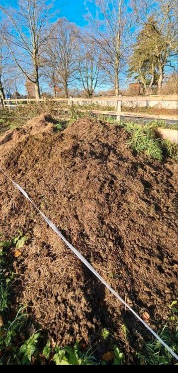 Gratis zuivere paarden mest beschikbaar voor biedingen