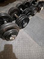 Dumbbels & schijven 128kg, Sport en Fitness, Fitnessmaterialen, Ophalen, Gebruikt, Halterschijven