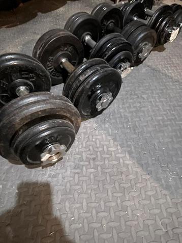  Dumbbels & schijven 128kg + halters  beschikbaar voor biedingen