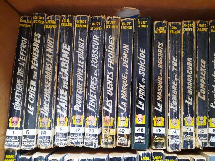 Angoisse Collection Fleuve Noir, Livres, Littérature, Utilisé, Envoi