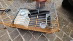 Kooi voor konijn of cavia, Dieren en Toebehoren, Ophalen, Zo goed als nieuw, Kooi, Cavia