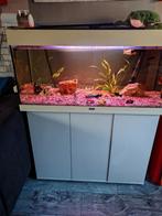 Compleet aquarium 180L, Dieren en Toebehoren, Ophalen of Verzenden, Zo goed als nieuw